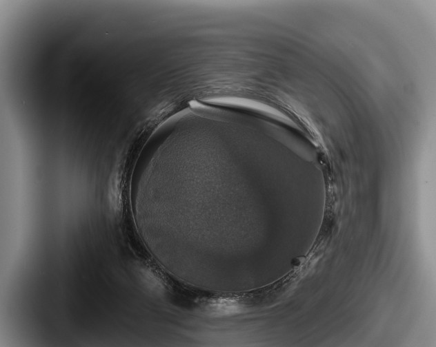 X0000087680114200705111308