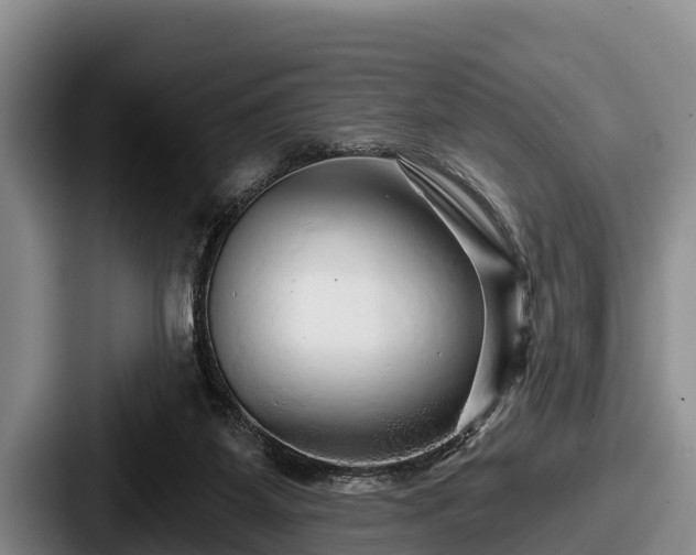 X0000087680115200705111308