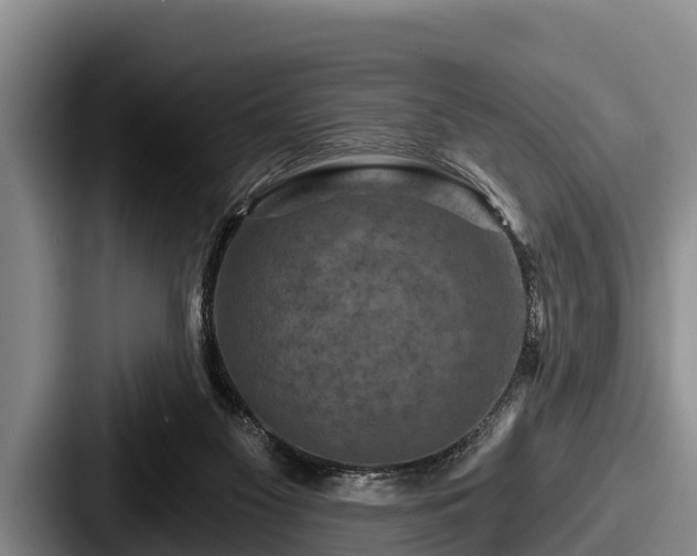 X0000087680117200705111308