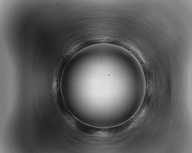 X0000087680119200705111308