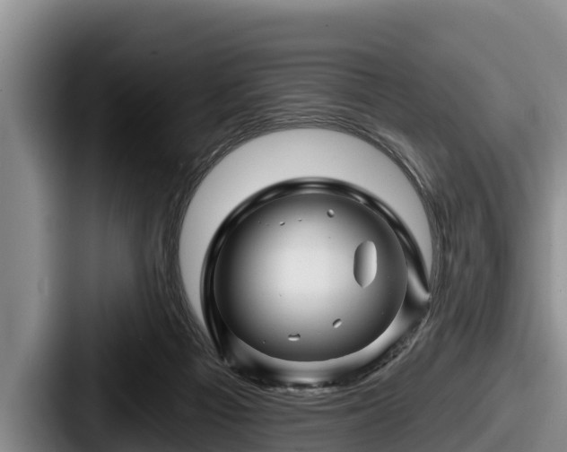 X0000087680121200705111308