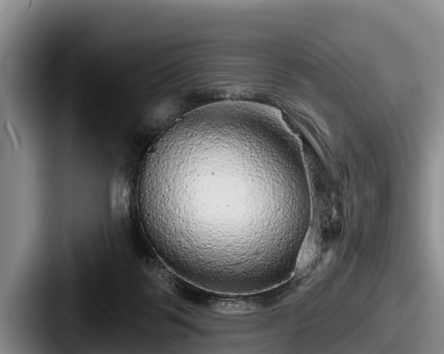 X0000087680123200705111308