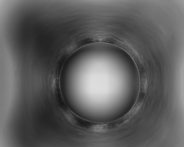 X0000087680126200705111308