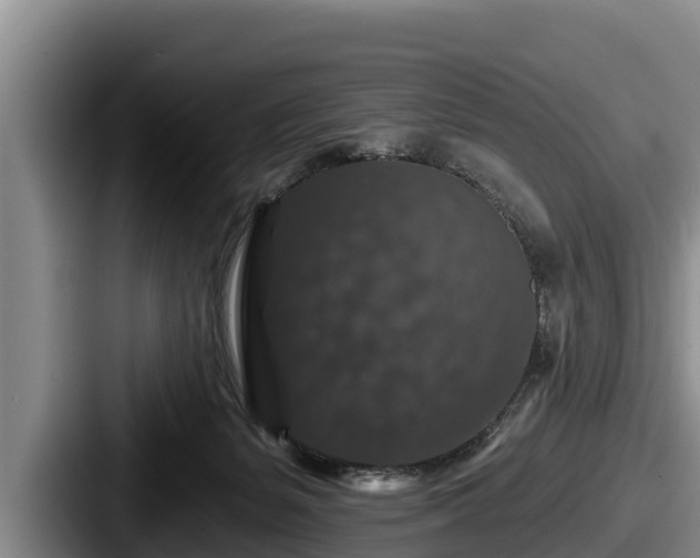 X0000087680127200705111308