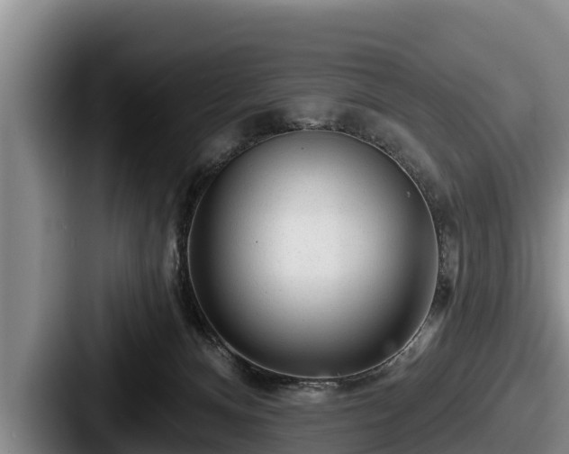 X0000087680128200705111308