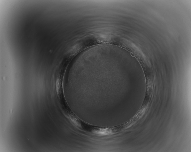 X0000087680130200705111308