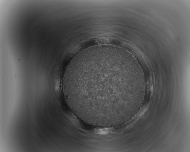 X0000087680134200705111308