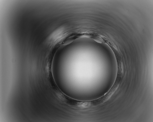 X0000087680135200705111308