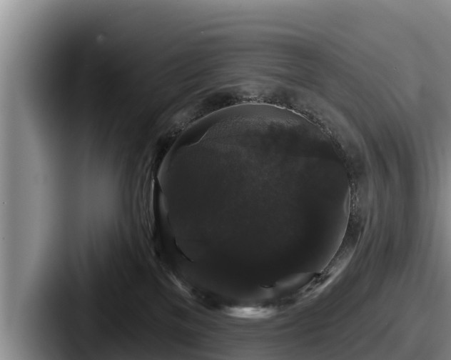 X0000087680137200705111308