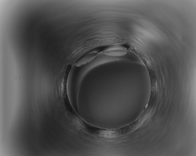 X0000087680139200705111308