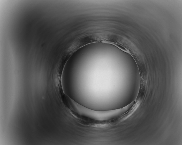 X0000087680141200705111308