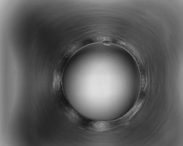 X0000087680142200705111308