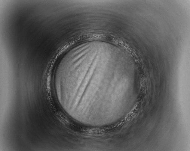 X0000087680146200705111307