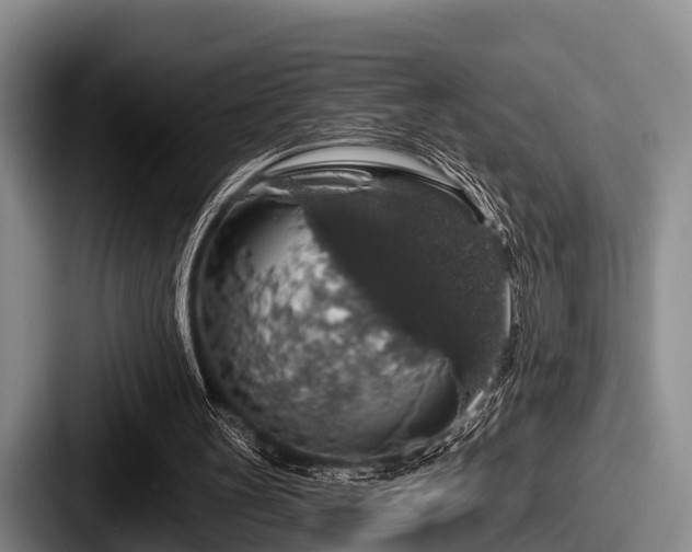 X0000087680147200705111307