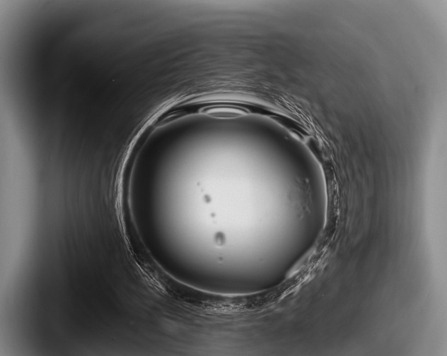 X0000087680148200705111307