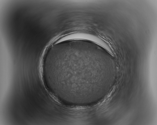 X0000087680149200705111307