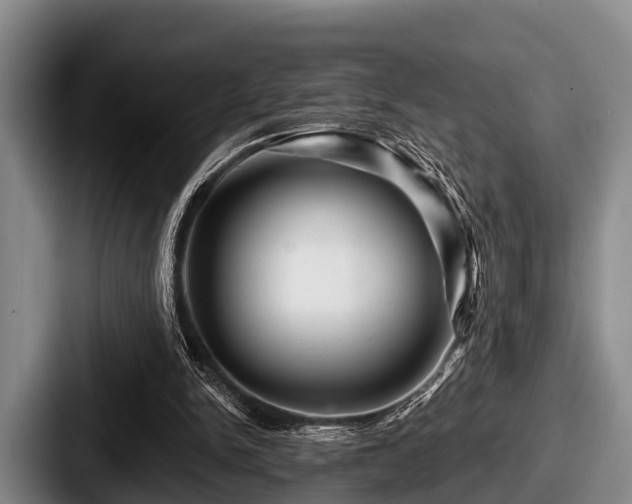 X0000087680150200705111307