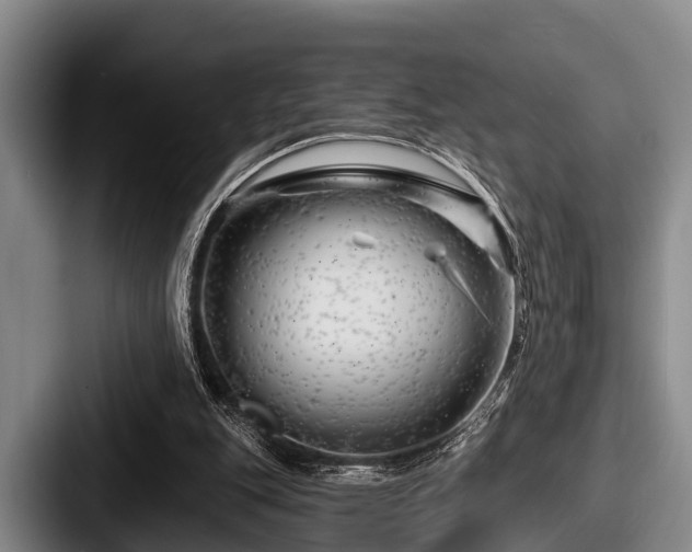 X0000087680151200705111307