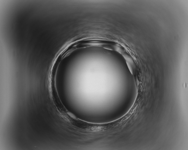 X0000087680152200705111307