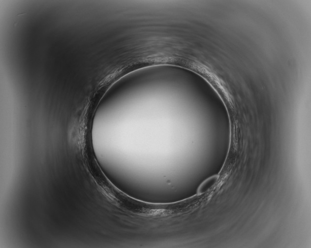 X0000087680153200705111307