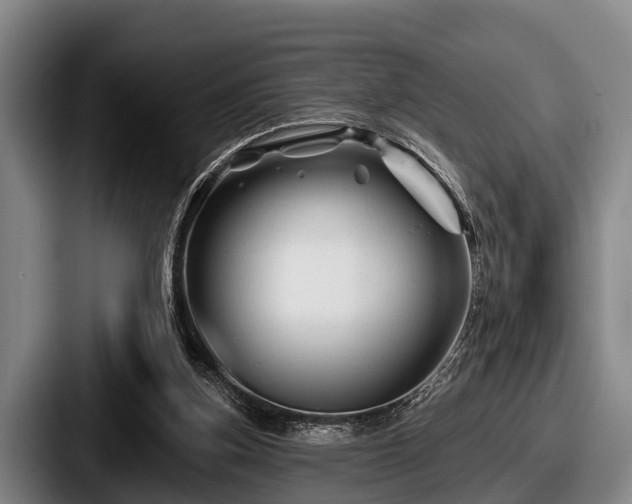 X0000087680155200705111307