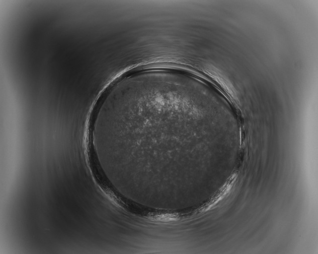 X0000087680156200705111307