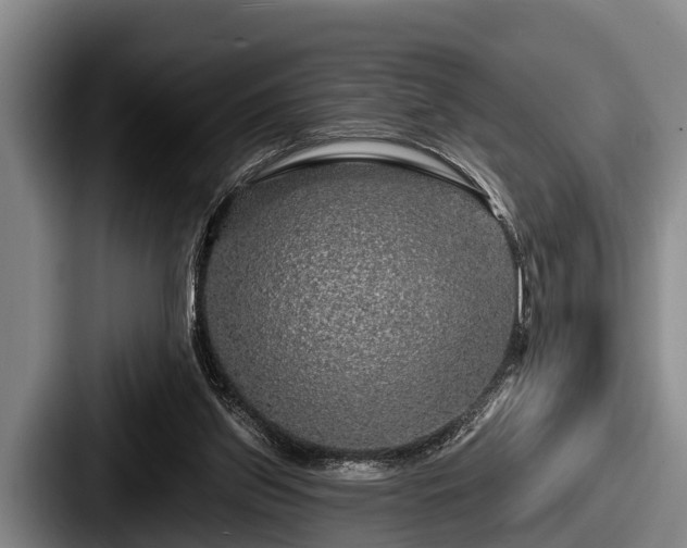 X0000087680157200705111307