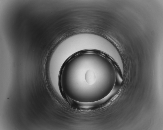 X0000087680158200705111307