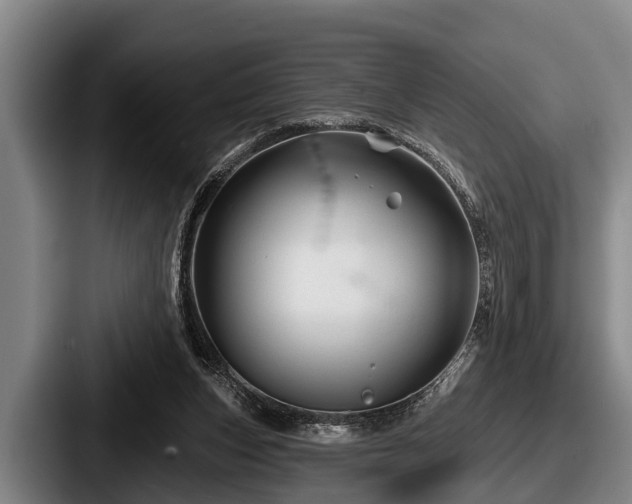 X0000087680159200705111307