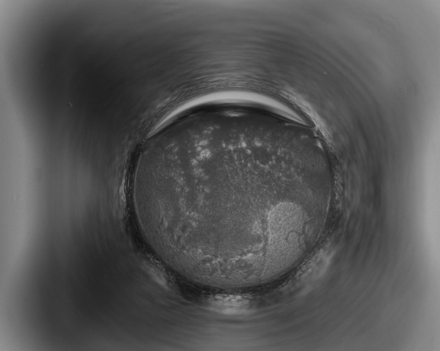 X0000087680161200705111307