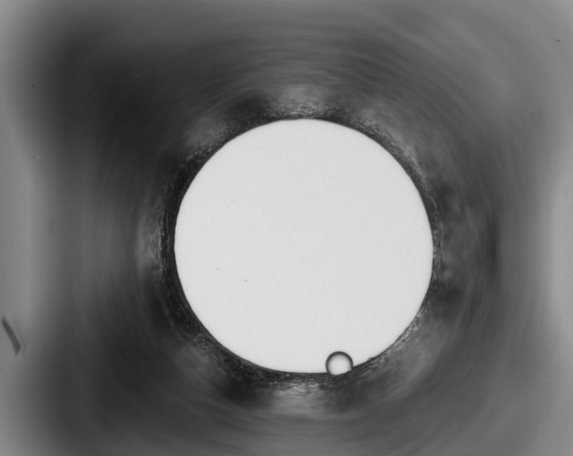 X0000087680162200705111307