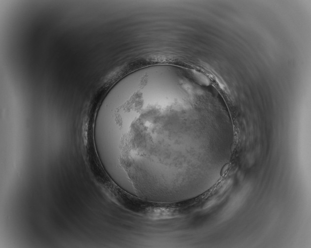 X0000087680163200705111307