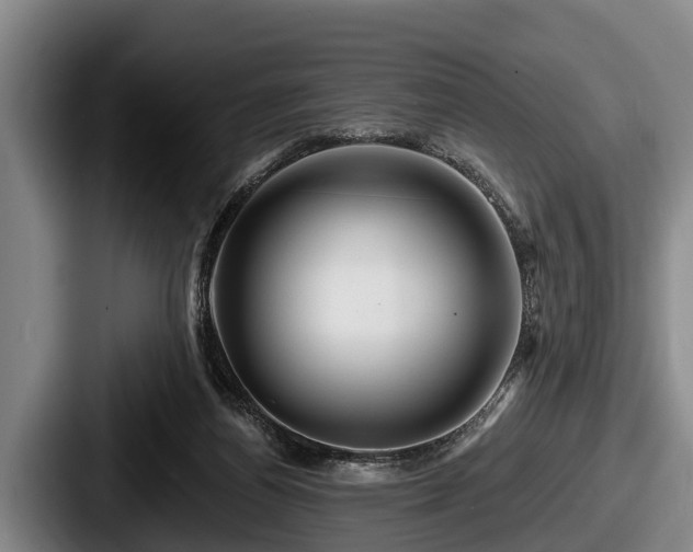 X0000087680164200705111307