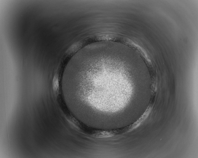 X0000087680166200705111307