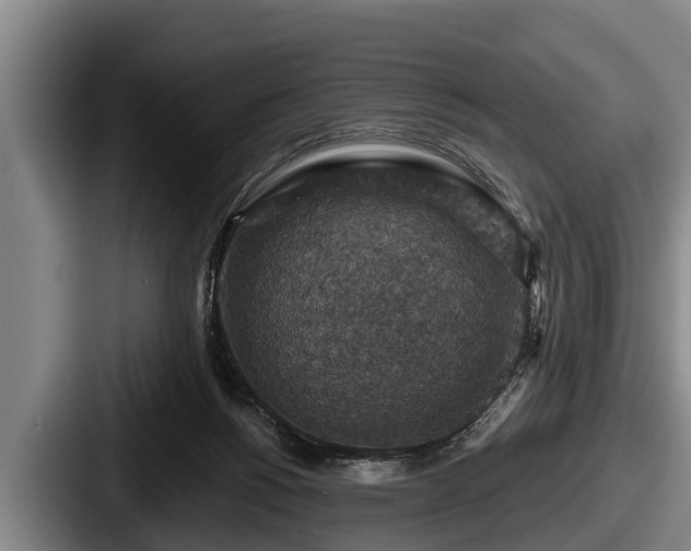 X0000087680168200705111307