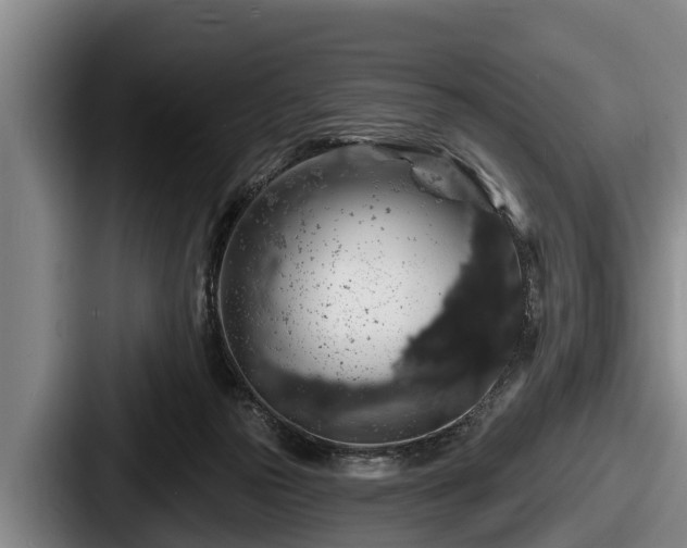 X0000087680169200705111307