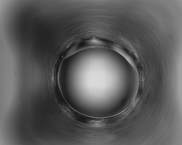 X0000087680170200705111307