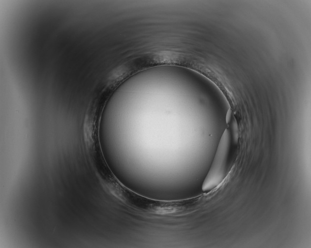 X0000087680171200705111307