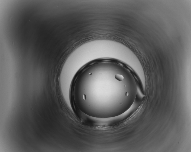 X0000087680172200705111307