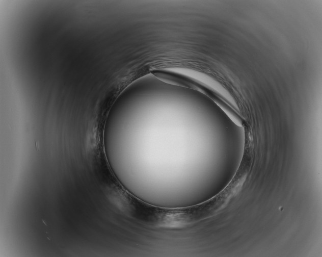 X0000087680173200705111307