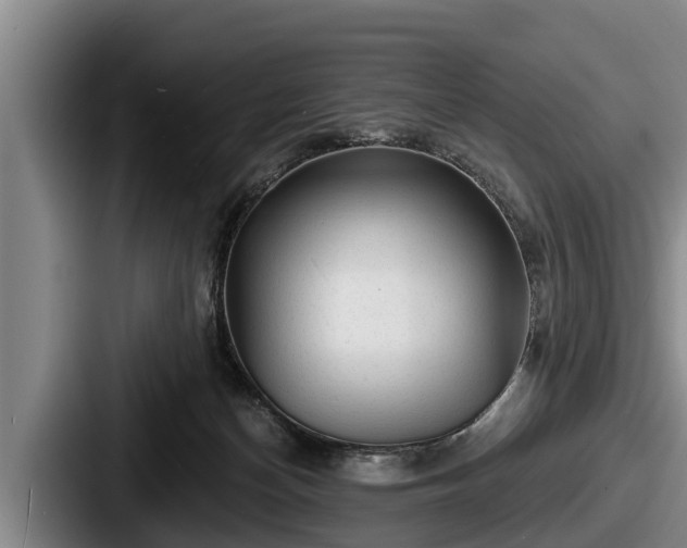 X0000087680174200705111307