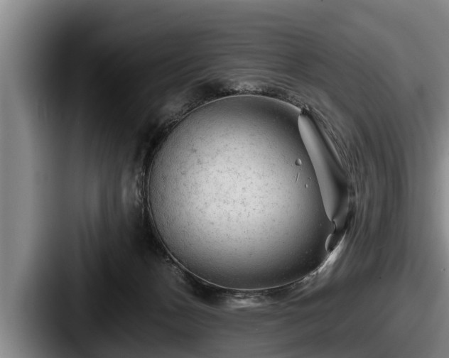 X0000087680175200705111307