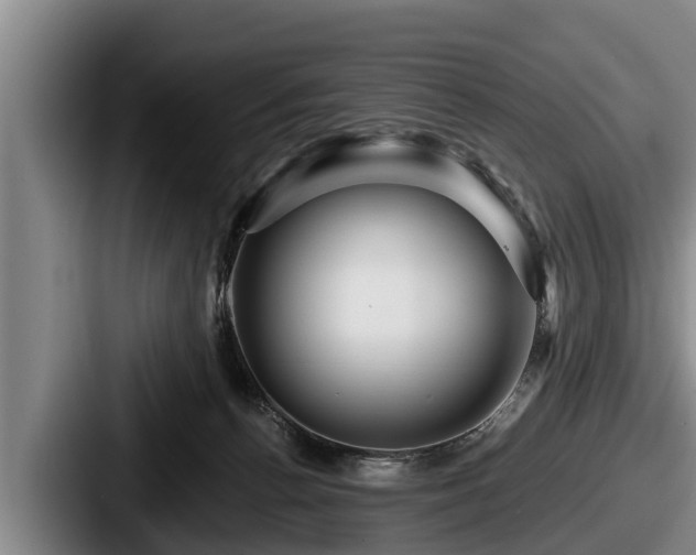 X0000087680176200705111308