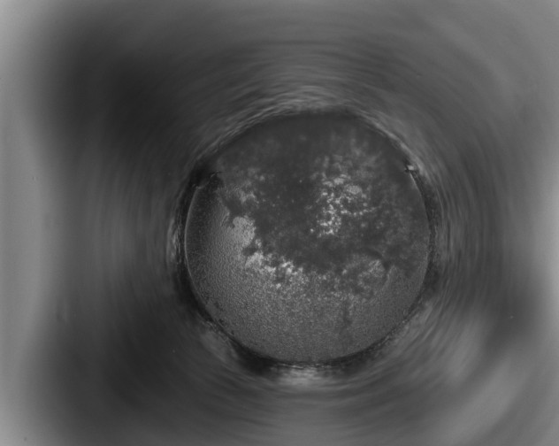 X0000087680177200705111308