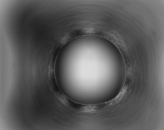 X0000087680179200705111308