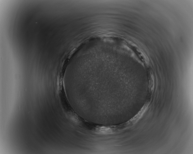 X0000087680180200705111308