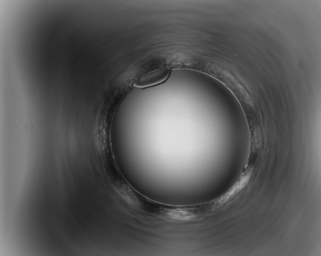 X0000087680183200705111308