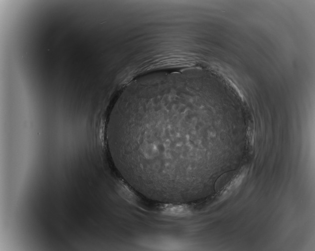 X0000087680185200705111308