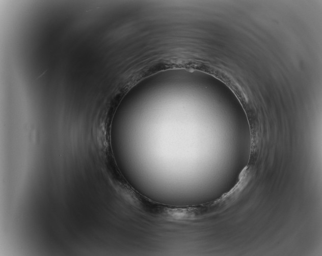 X0000087680187200705111308