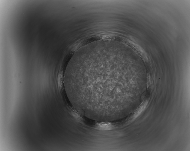 X0000087680189200705111308